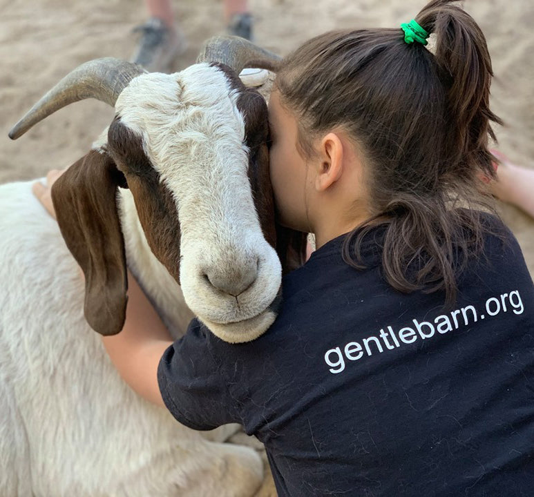 A person hugging a goat.