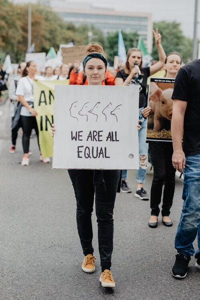 Surge Activism