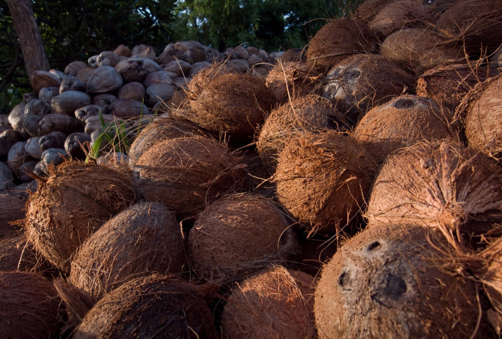 what is castile soap